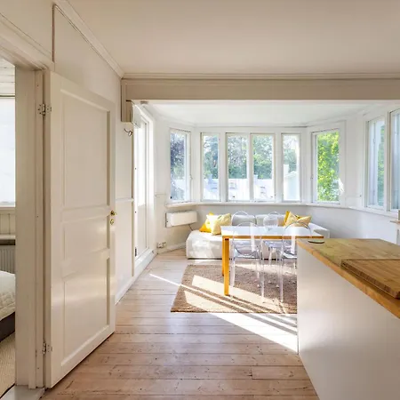 Rosa Harmony In * Hanko